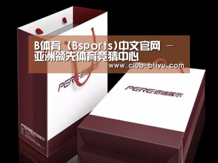 项目名称十二